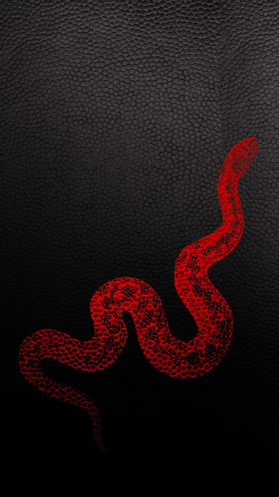 Leather Snake iPhone Wallpaper