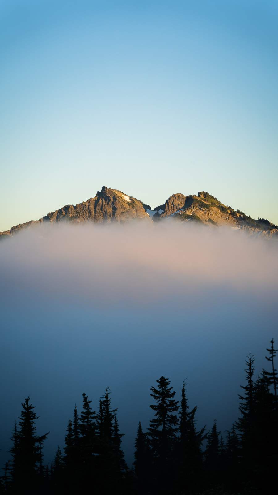 Morning Mist Mountain