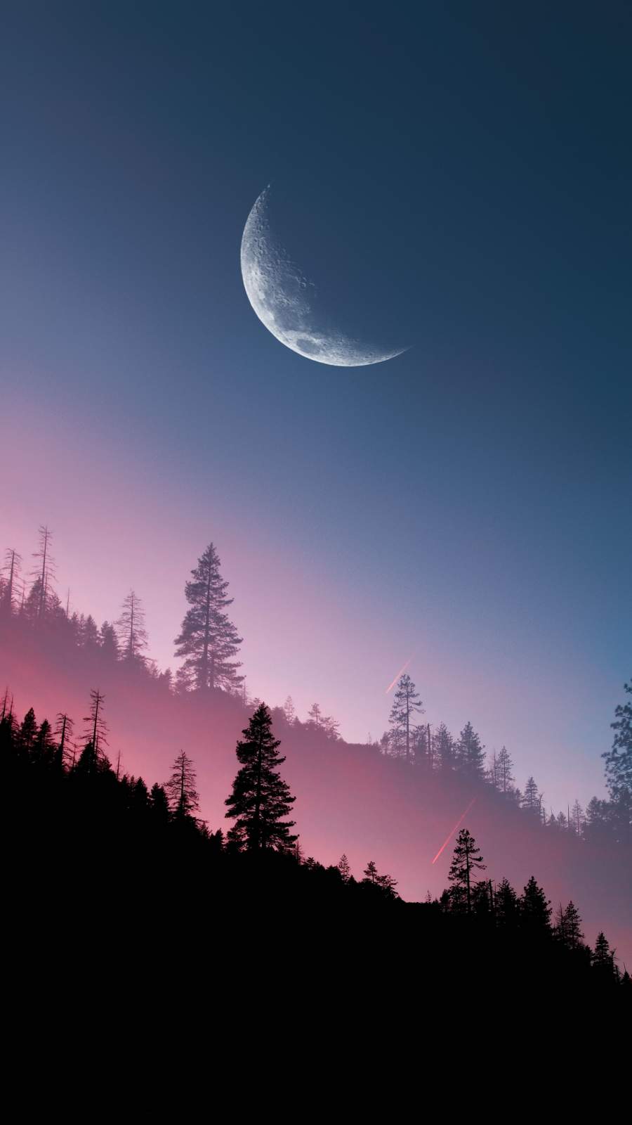 Sunset Forest Moon View