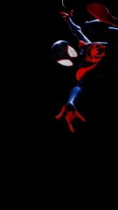 Into the spider verse