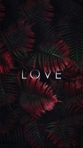 LOVE iPhone Wallpaper