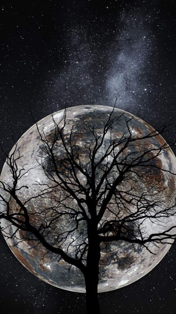 Moon Tree iPhone Wallpaper