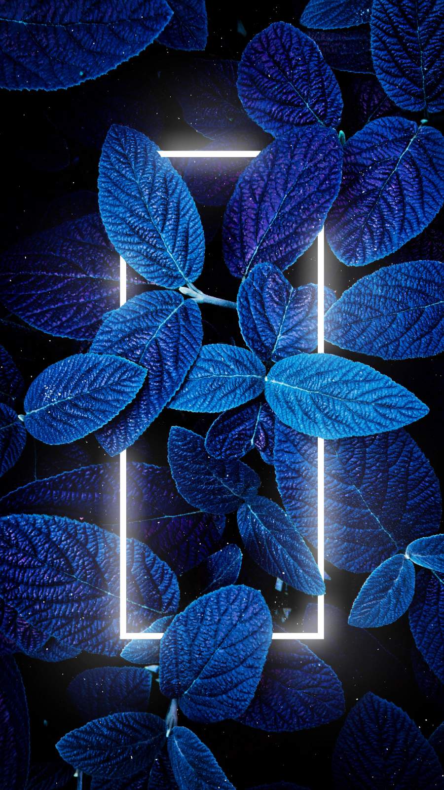Neon Blue Nature - IPhone Wallpapers : iPhone Wallpapers
