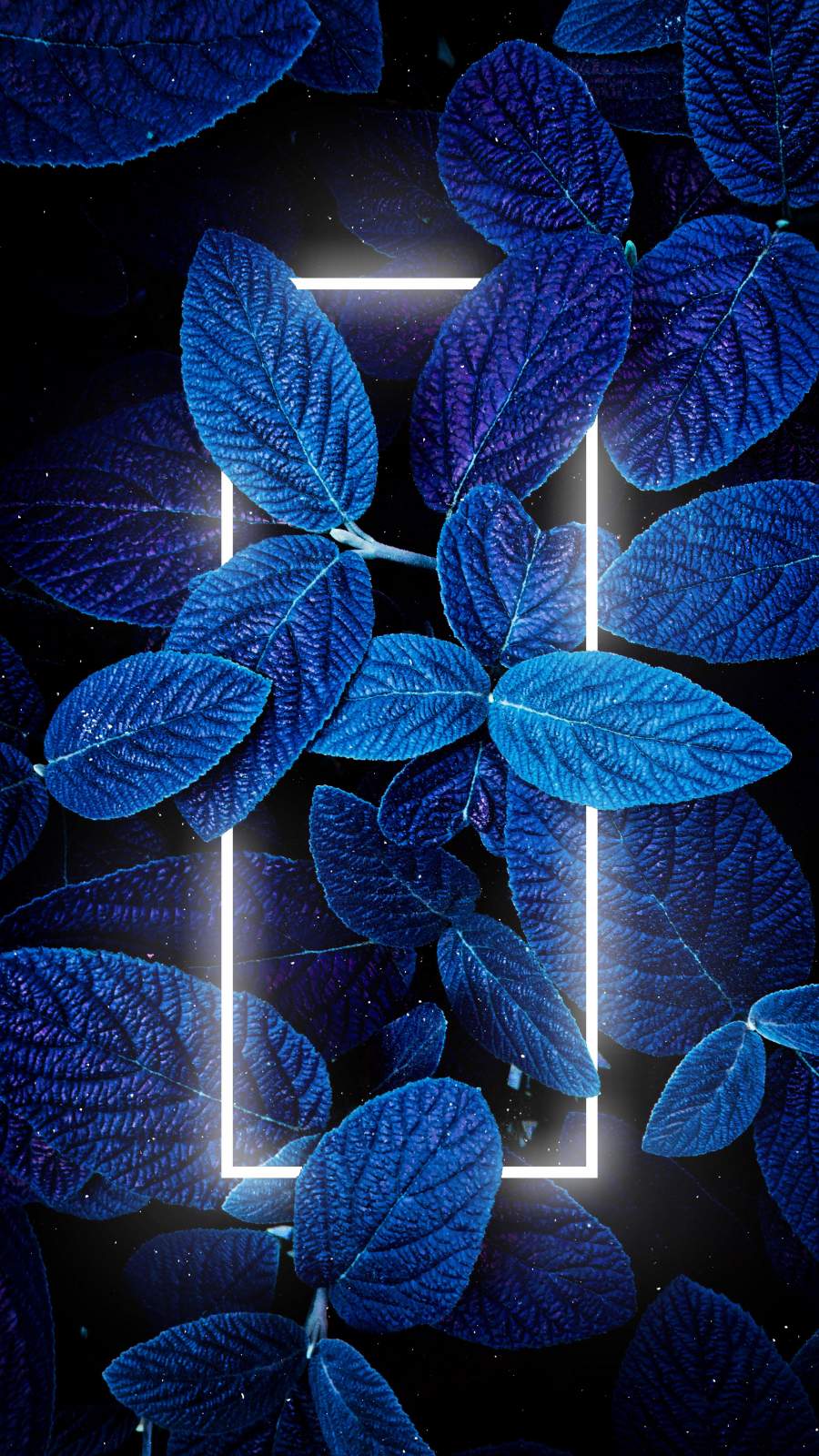 iPhone 13 Pro Wallpaper 4K iOS 15 Stock Blue background 6504