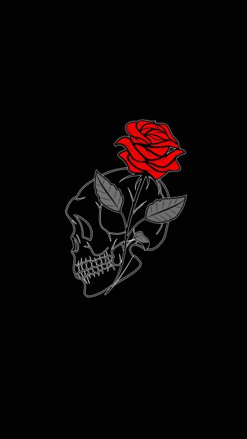 Rose Skull iPhone Wallpaper