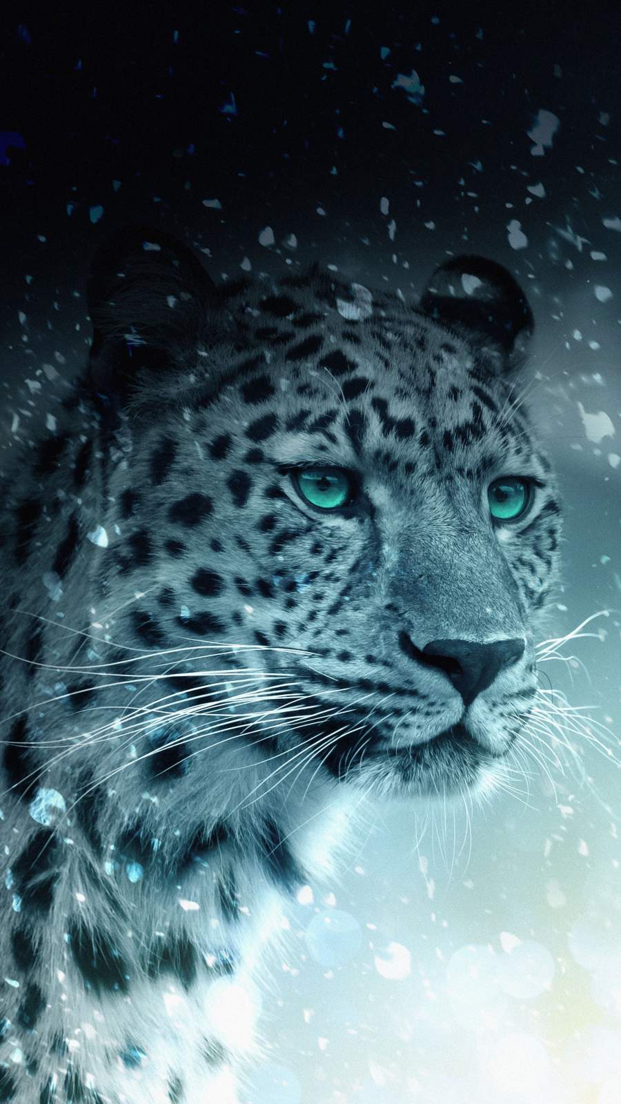 Snow Leopard iPhone Wallpaper