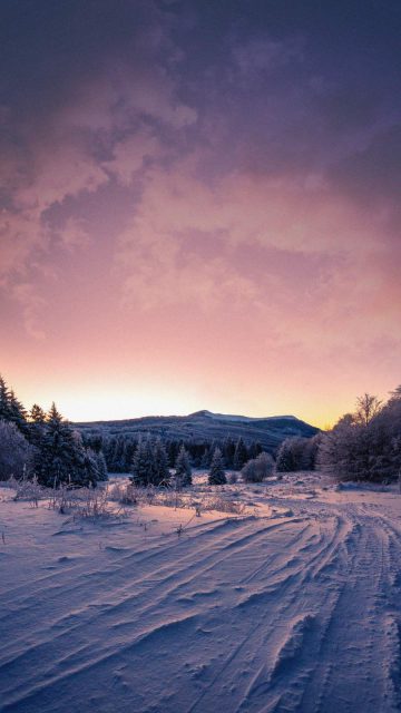 Snow Nature Sunrise iPhone Wallpaper