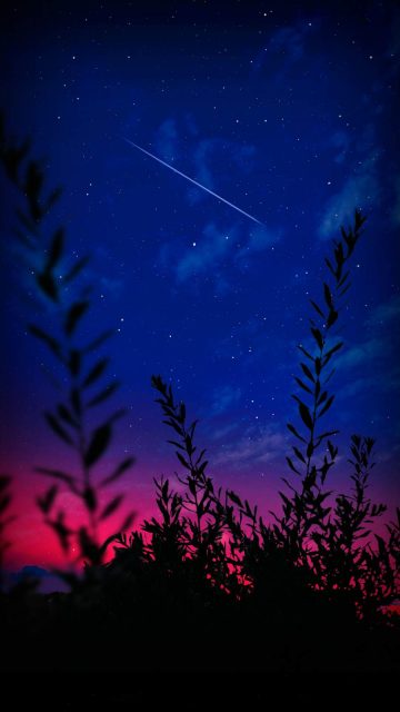 Starry Sky Shooting Star Nature