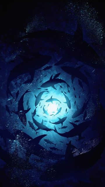 Underwater World iPhone Wallpaper
