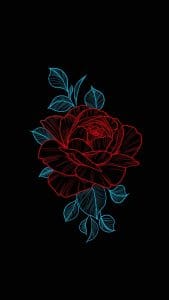 Amoled Rose iPhone Wallpaper