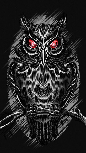 Black Owl iPhone Wallpaper