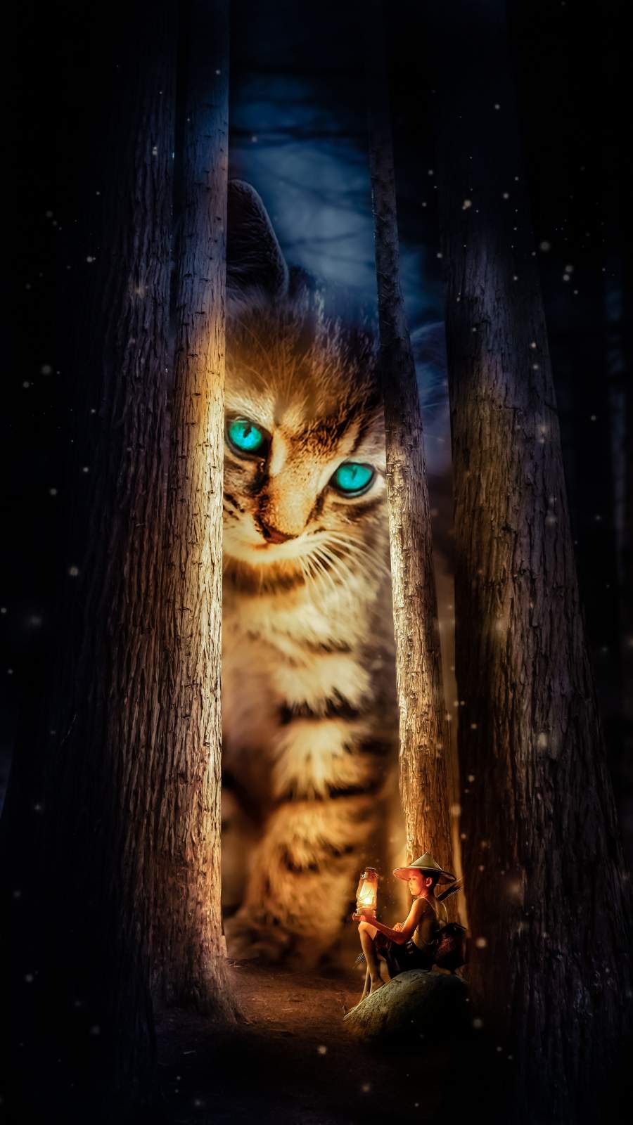 Cat World iPhone Wallpaper