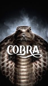 Cobra Snake iPhone Wallpaper