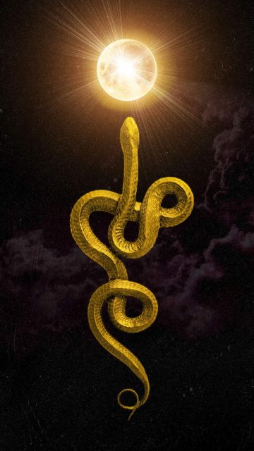 Golden Snake iPhone Wallpaper