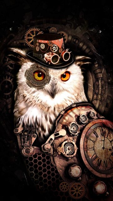 Hat Owl iPhone Wallpaper