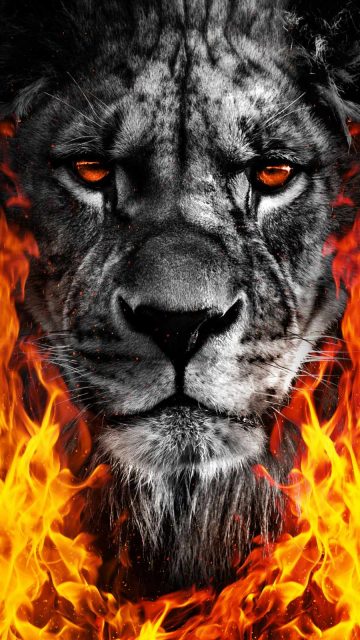 Lion King Fire