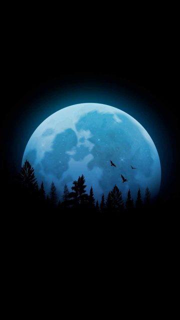 Moon in Dark iPhone Wallpaper