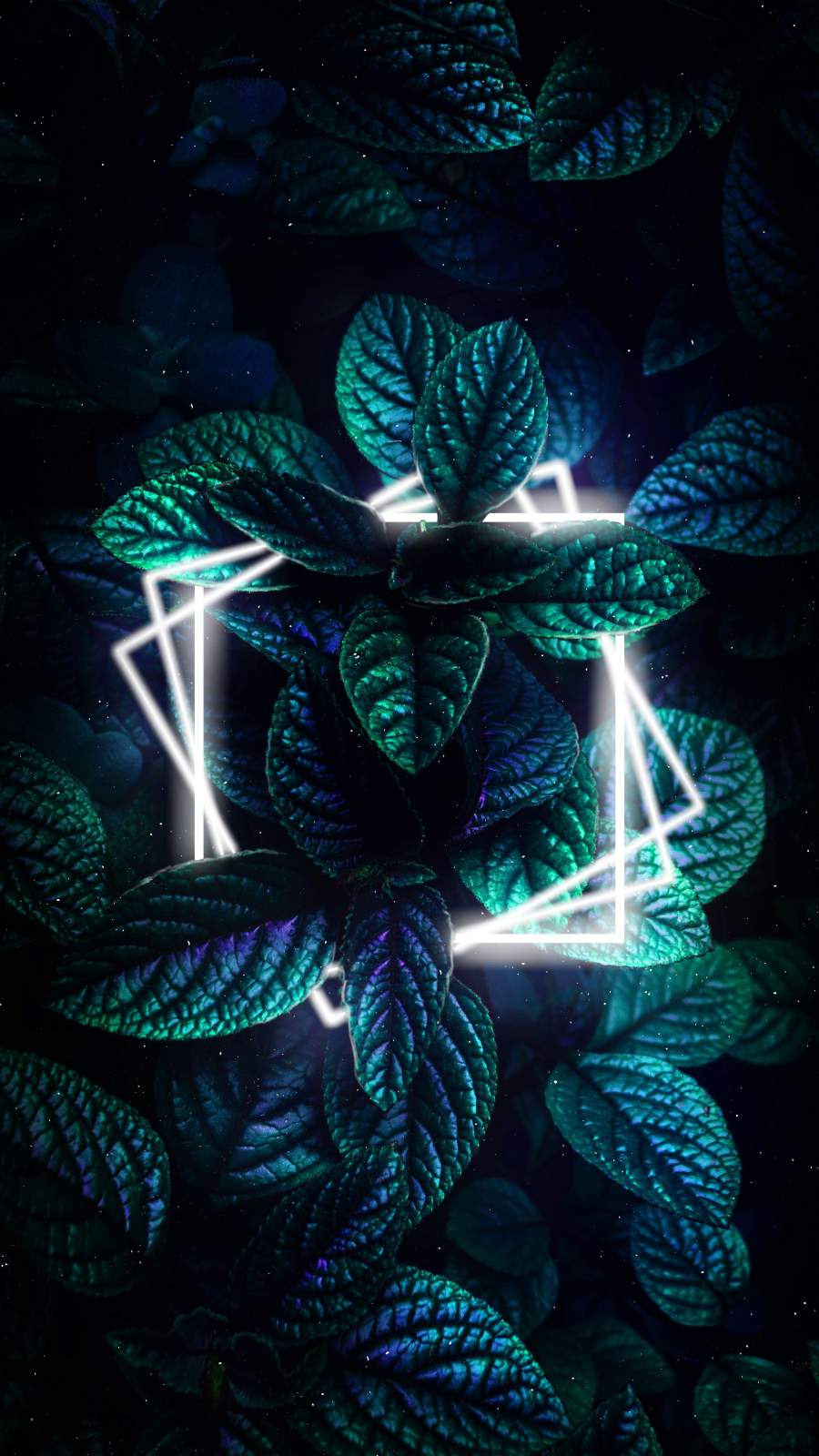 Nature Neon Green Foliage - IPhone Wallpapers : iPhone Wallpapers