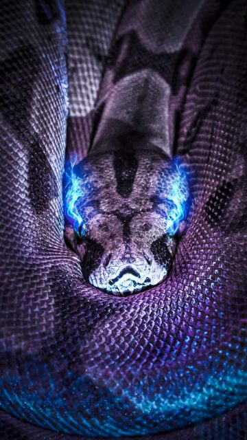 Neon Eye Python iPhone Wallpaper