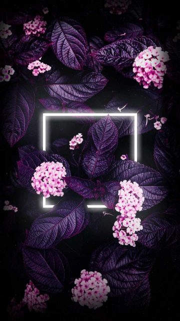 Neon Flower Plants iPhone Wallpaper