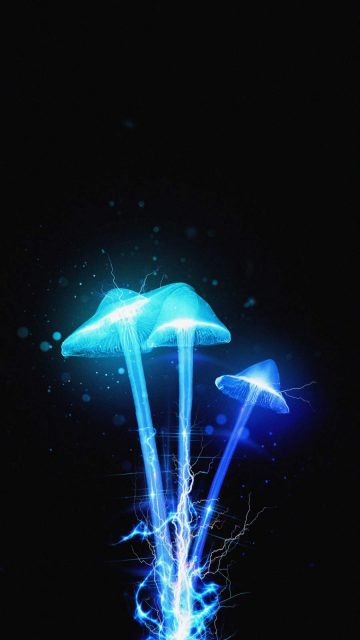 Neon Mushrooms iPhone Wallpaper