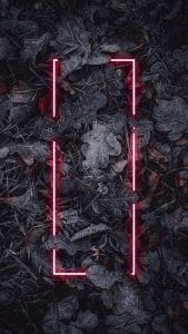 Neon Nature Wallpaper