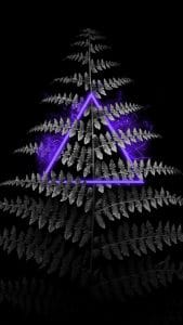 Neon Tree iPhone Wallpaper