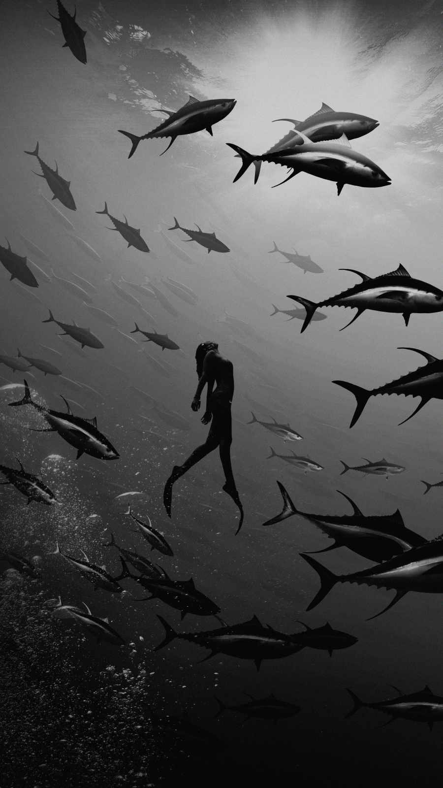 Underwater Dive iPhone Wallpaper