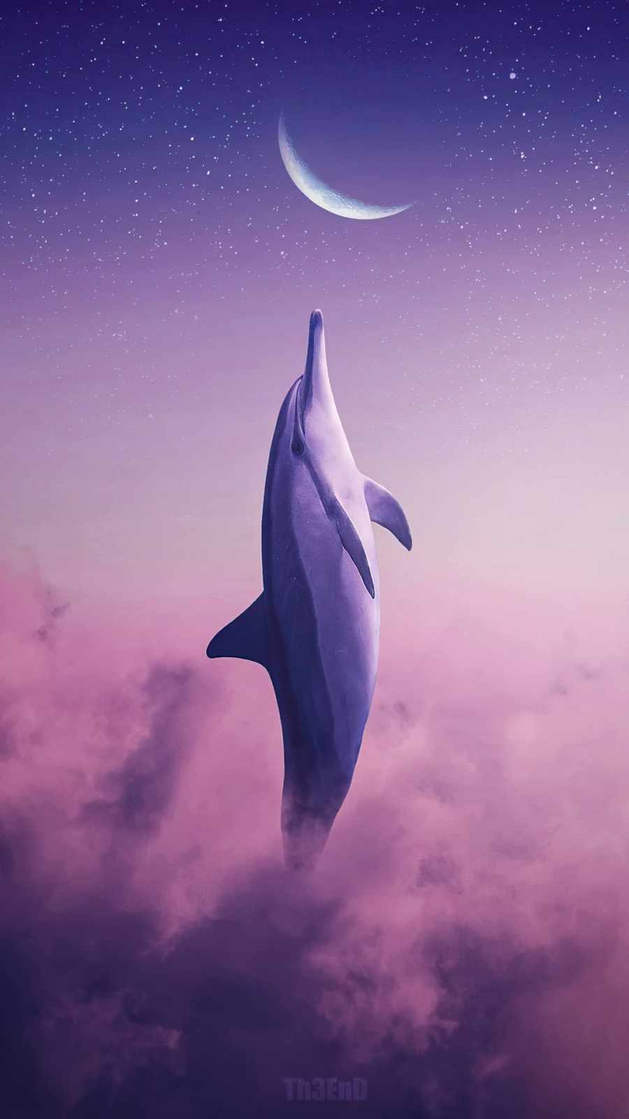 Dolphin Touching Moon