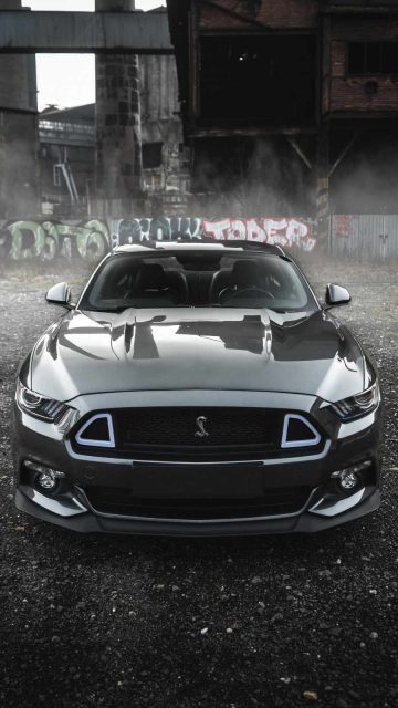 Ford Mustang Face Grey