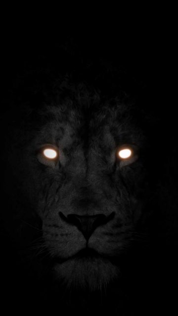 Glow Eye Lion
