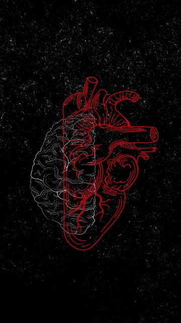 Heart vs Brain Wallpaper