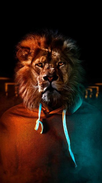 Lion Face Man iPhone Wallpaper