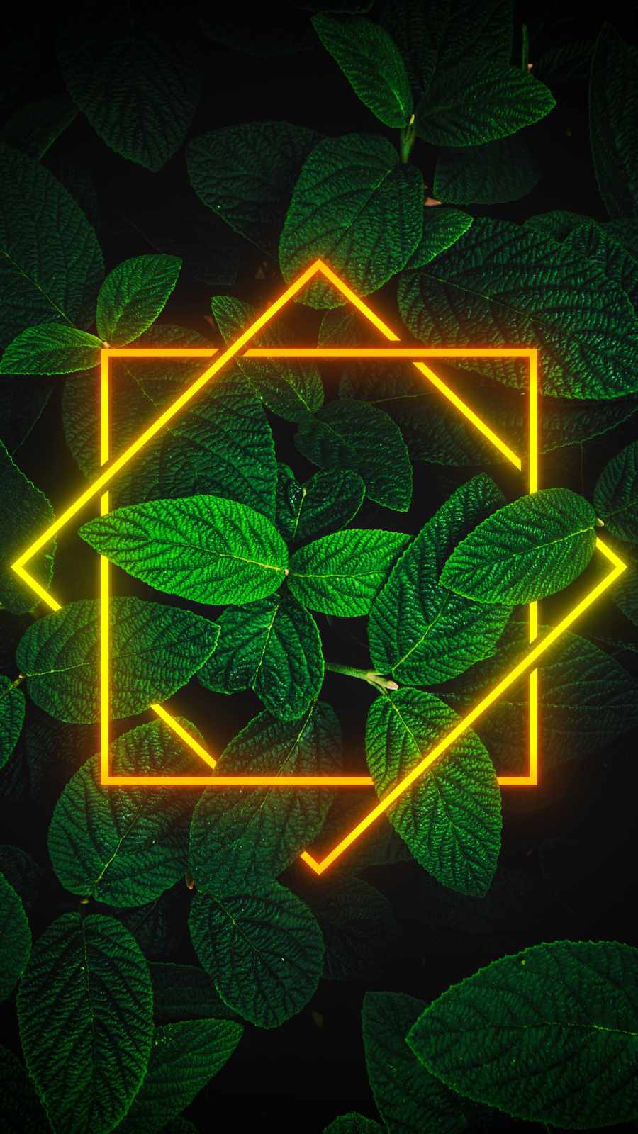 Neon Green Foliage Nature - IPhone Wallpapers : iPhone Wallpapers