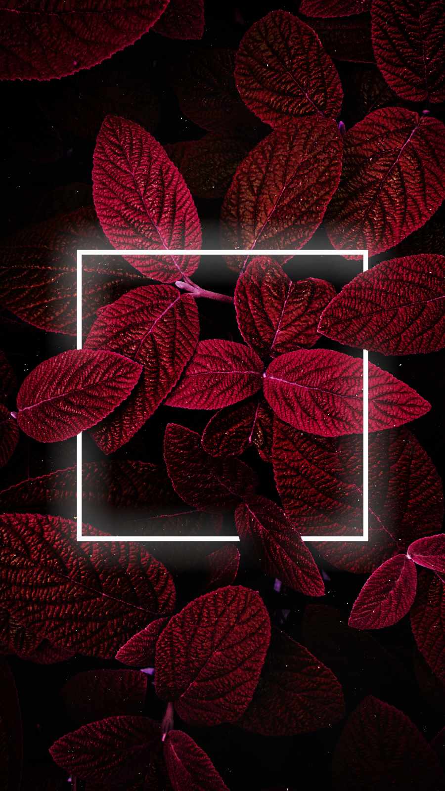 Neon Red Foliage iPhone Wallpaper