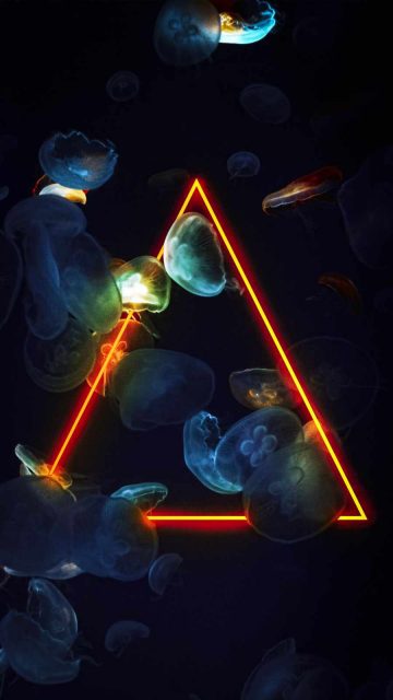 Neon Triangle Jellyfish