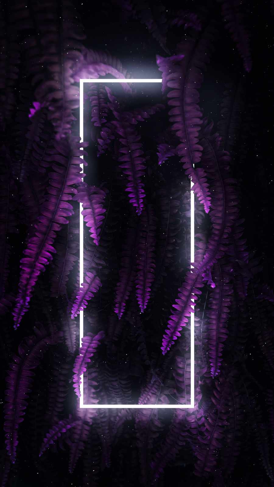 Purple aesthetic  Wallpaper iphone neon, Purple wallpaper iphone