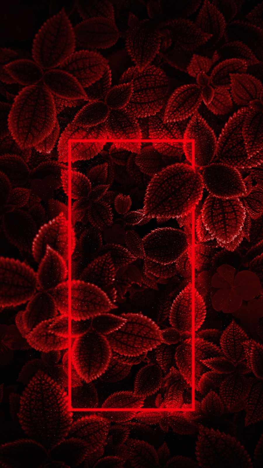 Red Neon Foliage