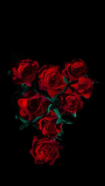 Red Roses iPhone Wallpaper