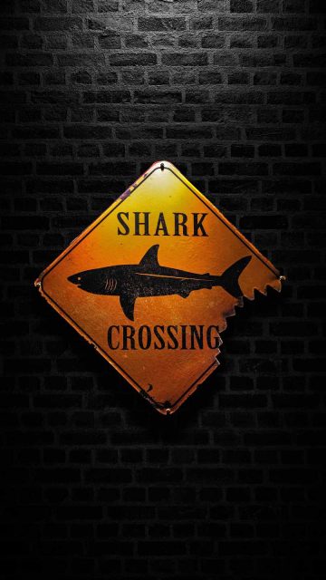 Shark Crossing iPhone Wallpaper