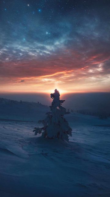 Snow Tree Horizon