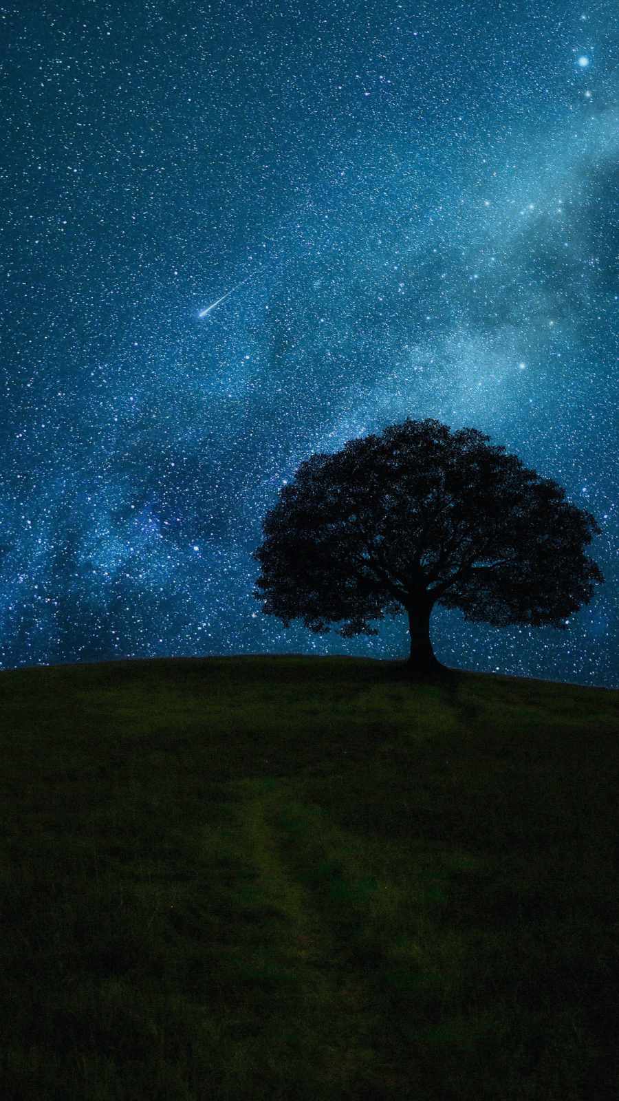 Space View Tree iPhone Wallpaper
