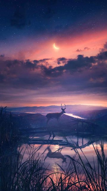 Twilight Deer 4K iPhone Wallpaper