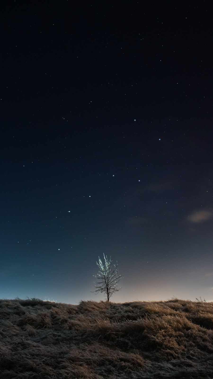 Minimal Night Sky Tree