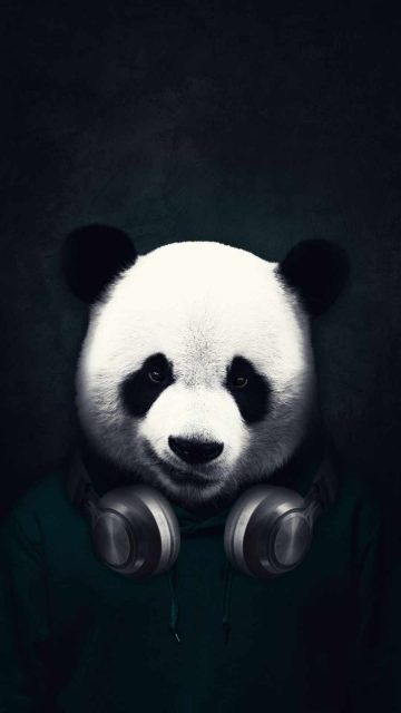 Music Panda iPhone Wallpaper