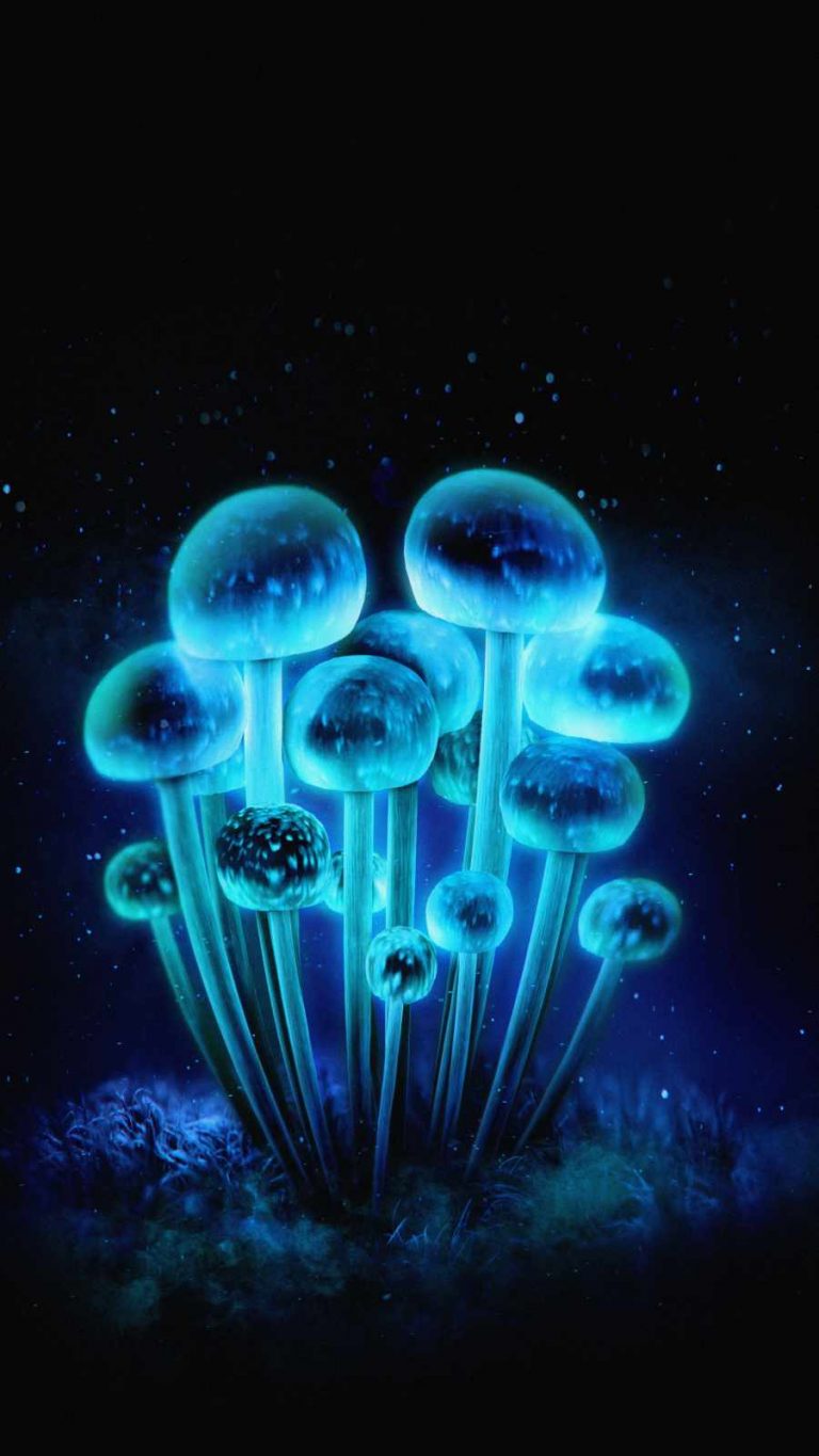 Neon Mushrooms - iPhone Wallpapers