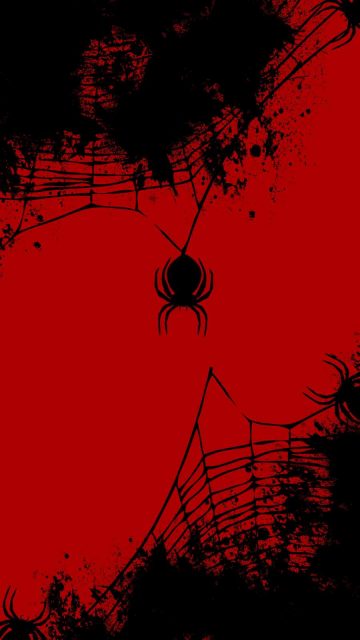 Spider Web iPhone Wallpaper