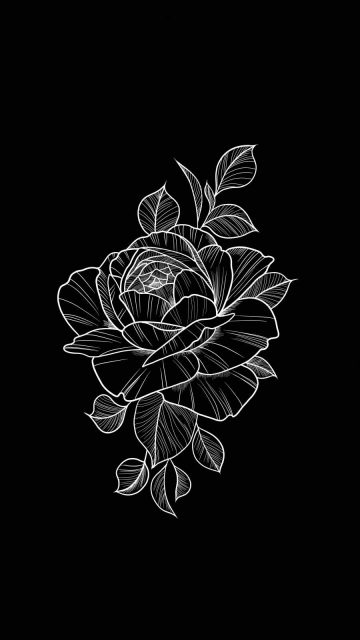 Black Rose Amoled - iPhone Wallpapers