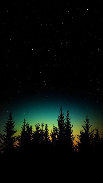 Dark Starry Night Trees