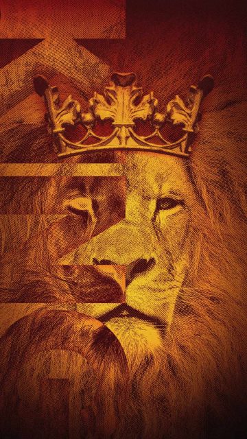 King Lion Art iPhone Wallpaper